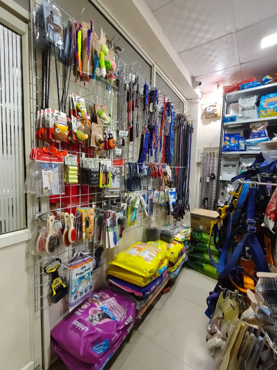 Sarvadnya Pet Care Unit veterinary clinic, Pune